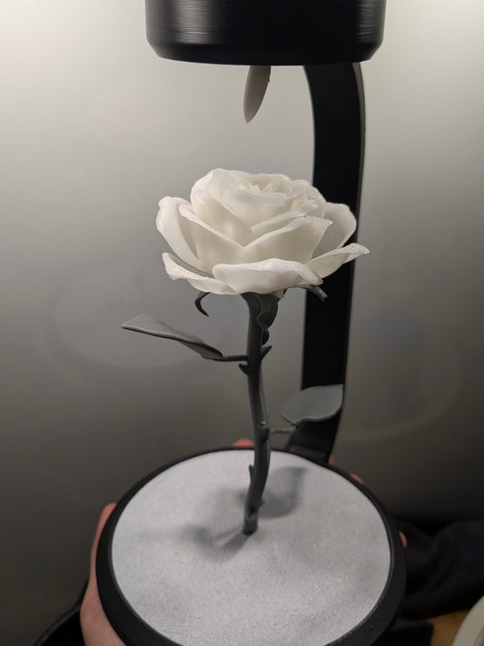 Gül Lambası Beyaz gül